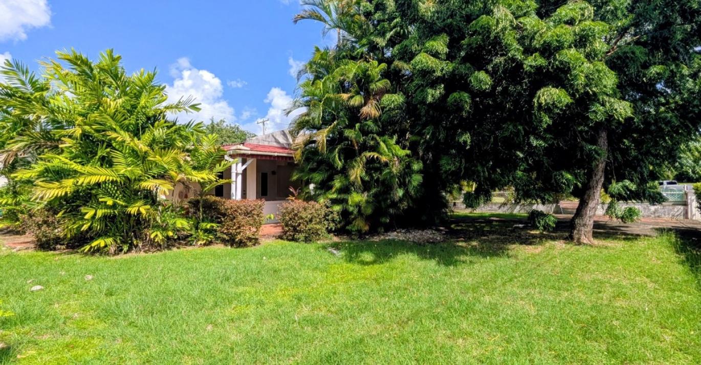 sunset crest cassia 172 external