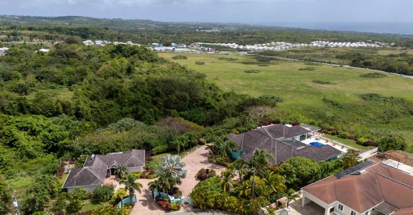 Windswept west coast view