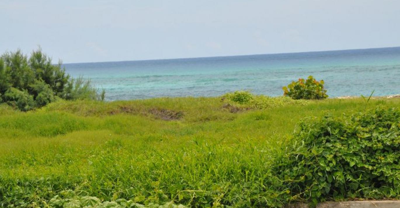 Coral Drive 192 corner lot