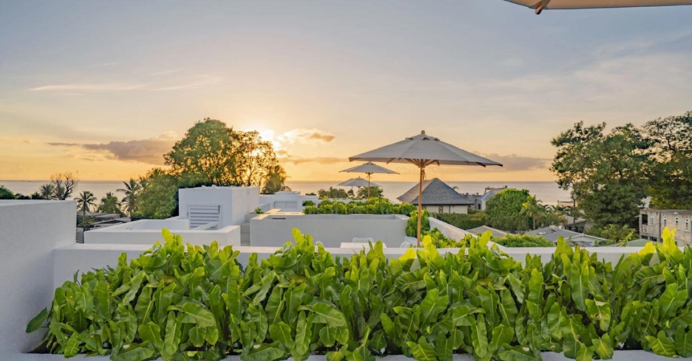 palmgrove garden 7 sunset