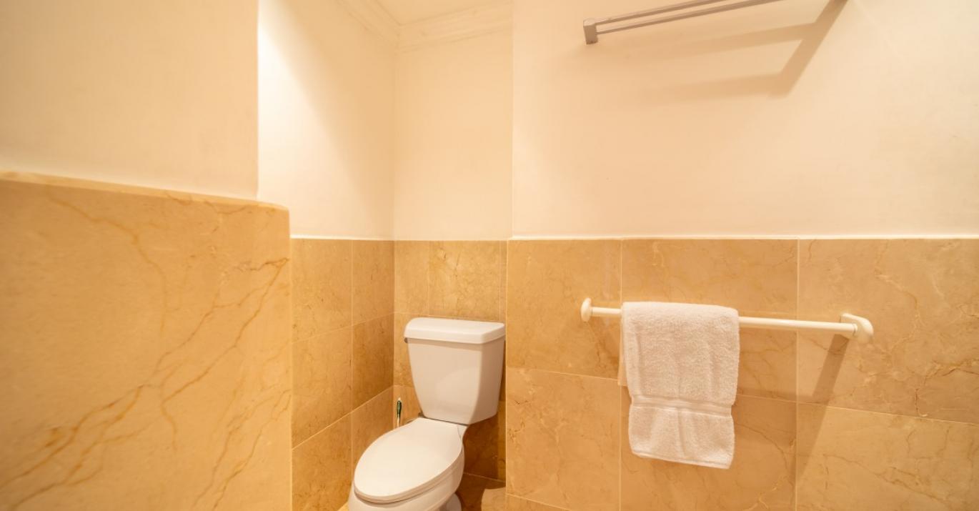 psc229 toilet