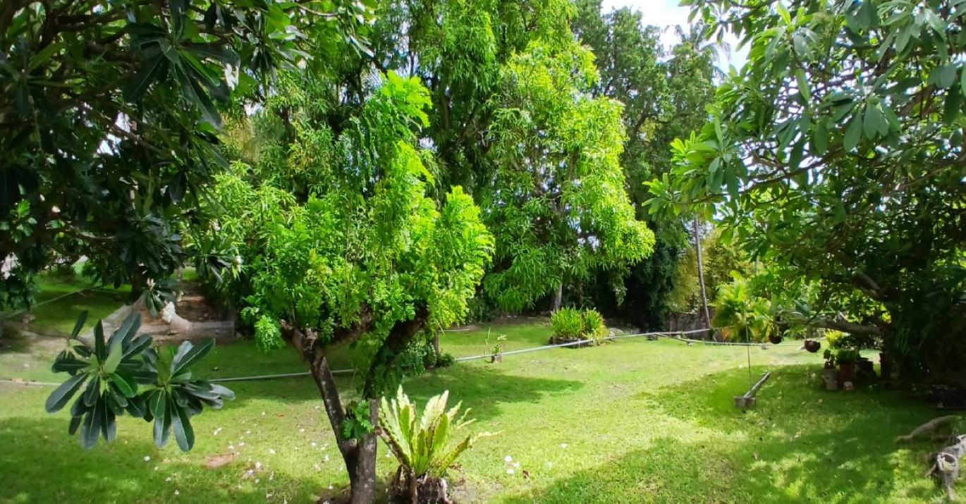stone orchard