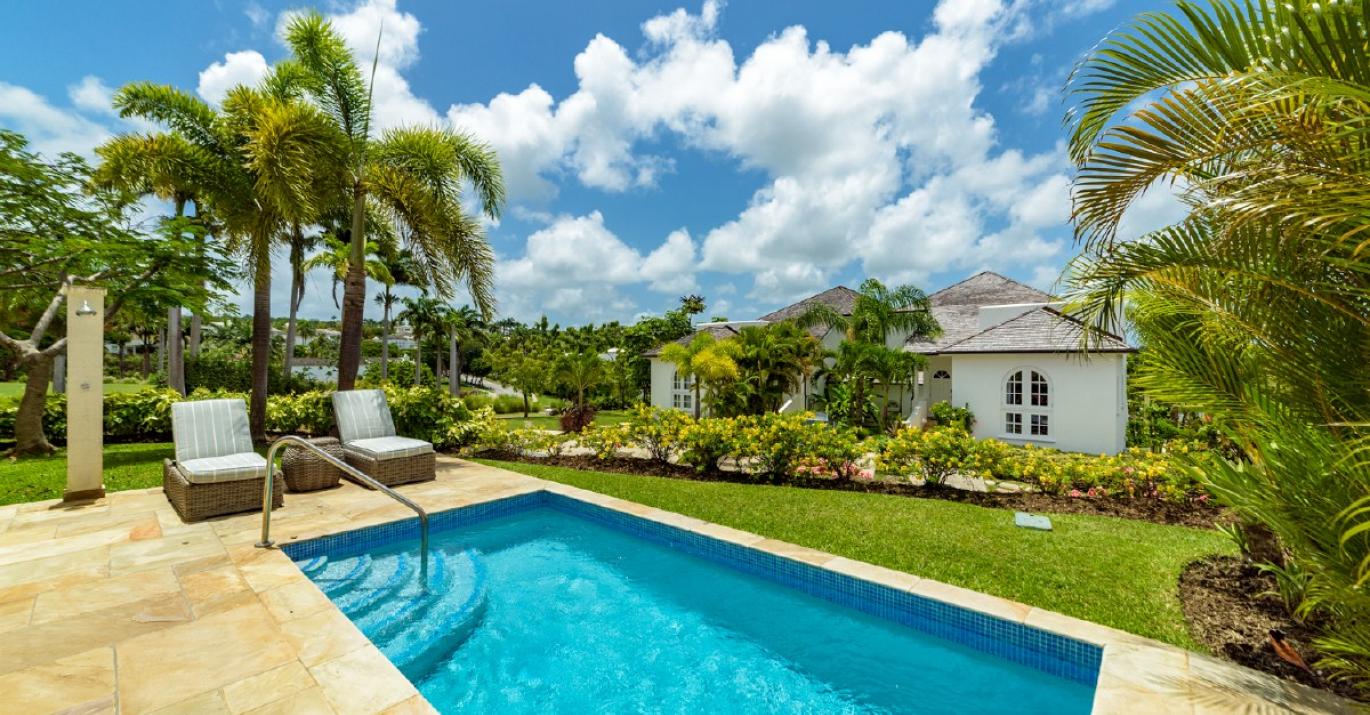 sugarcane 5 pool loungers 05