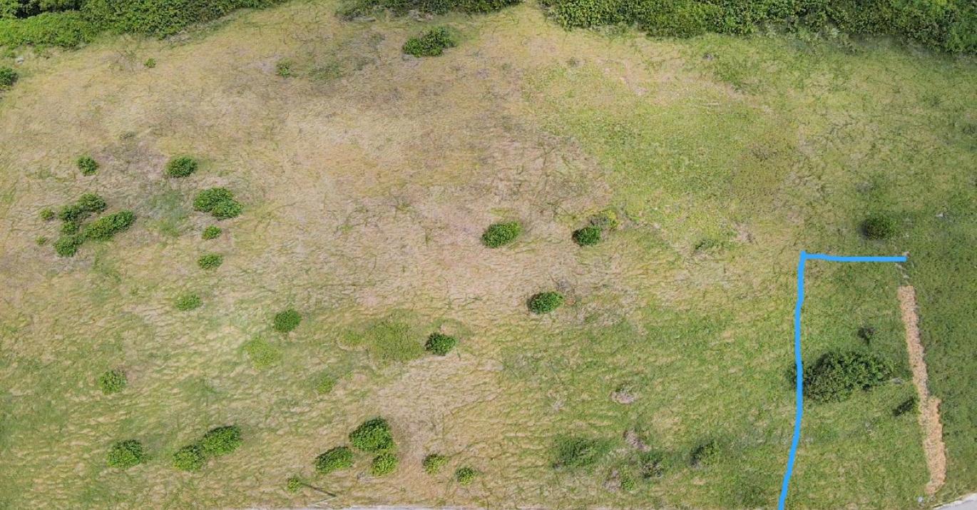Atlantic Heights lot 3 residential land for sale Fortescue St Philip Barbados