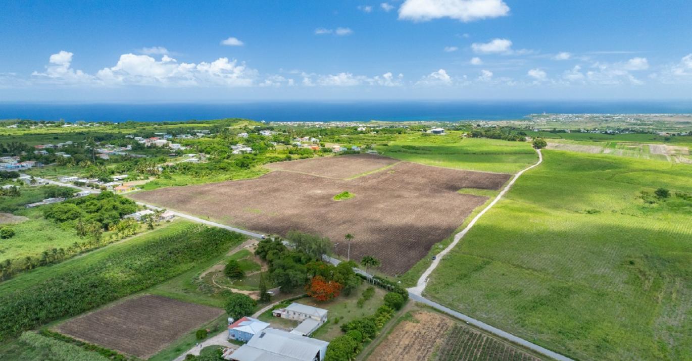 Mount Pleasant Estate agricultural land for sale residential mix-use opportunity