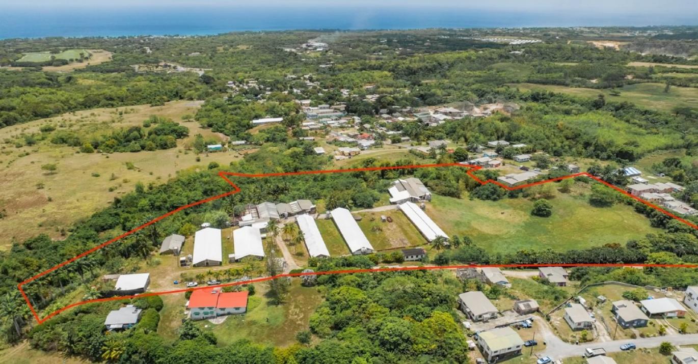 Rock Hall Land for sale Barbados