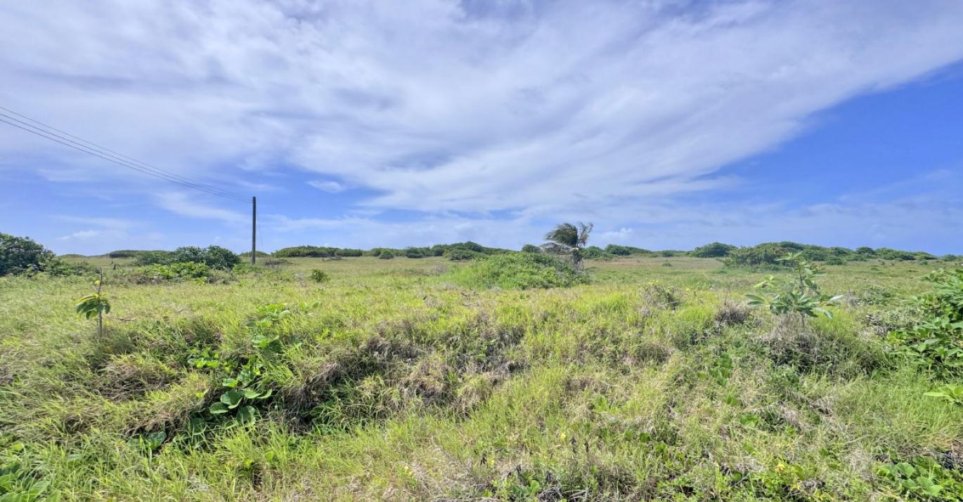 Atlantic Heights Phase 1A residential land lots for sale Fortescue Barbados