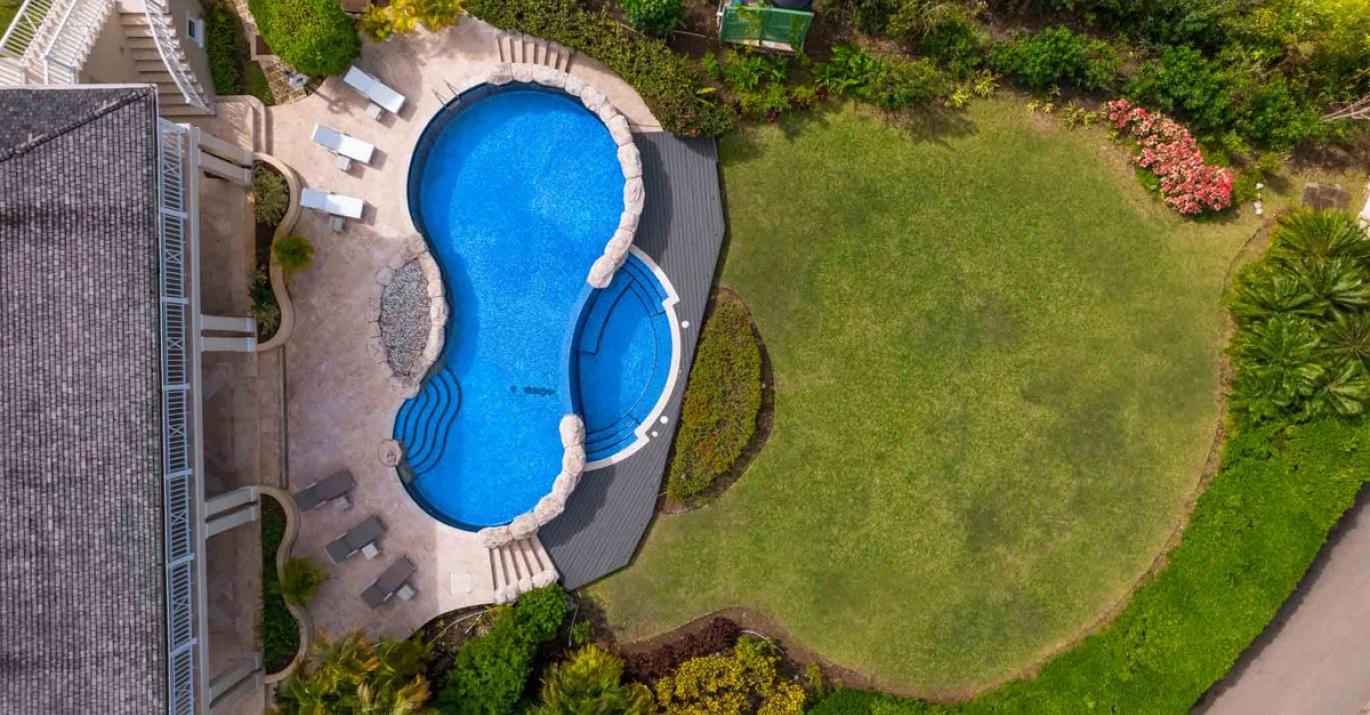 Bananaquit Exterior 2