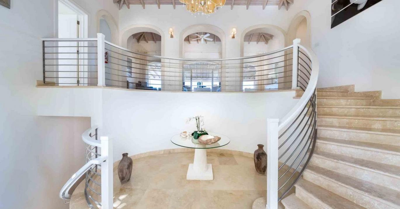 Bananaquit Staircase