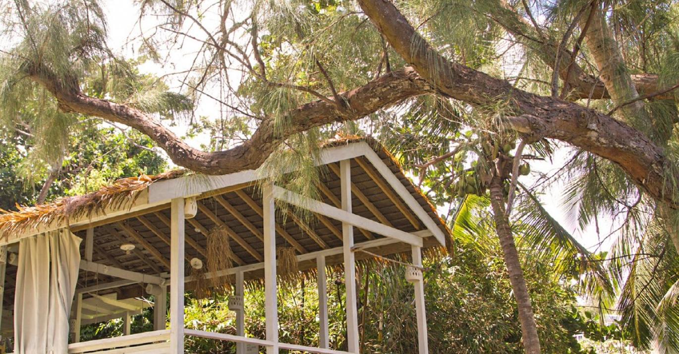 Eco Lifestyle Lodge N