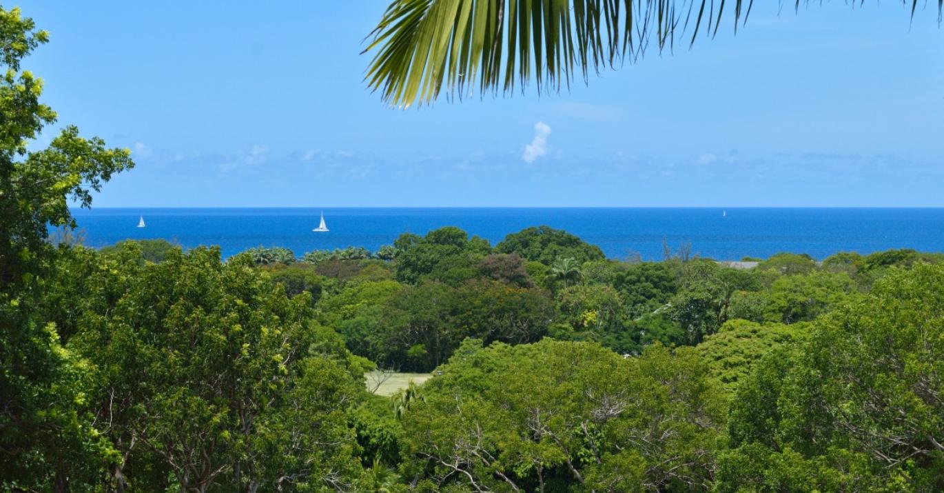 HALLE ROSE VIEW5