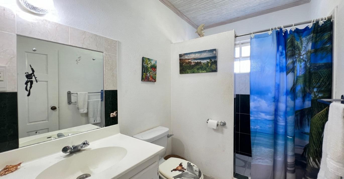 Lime Villa Bathroom 55