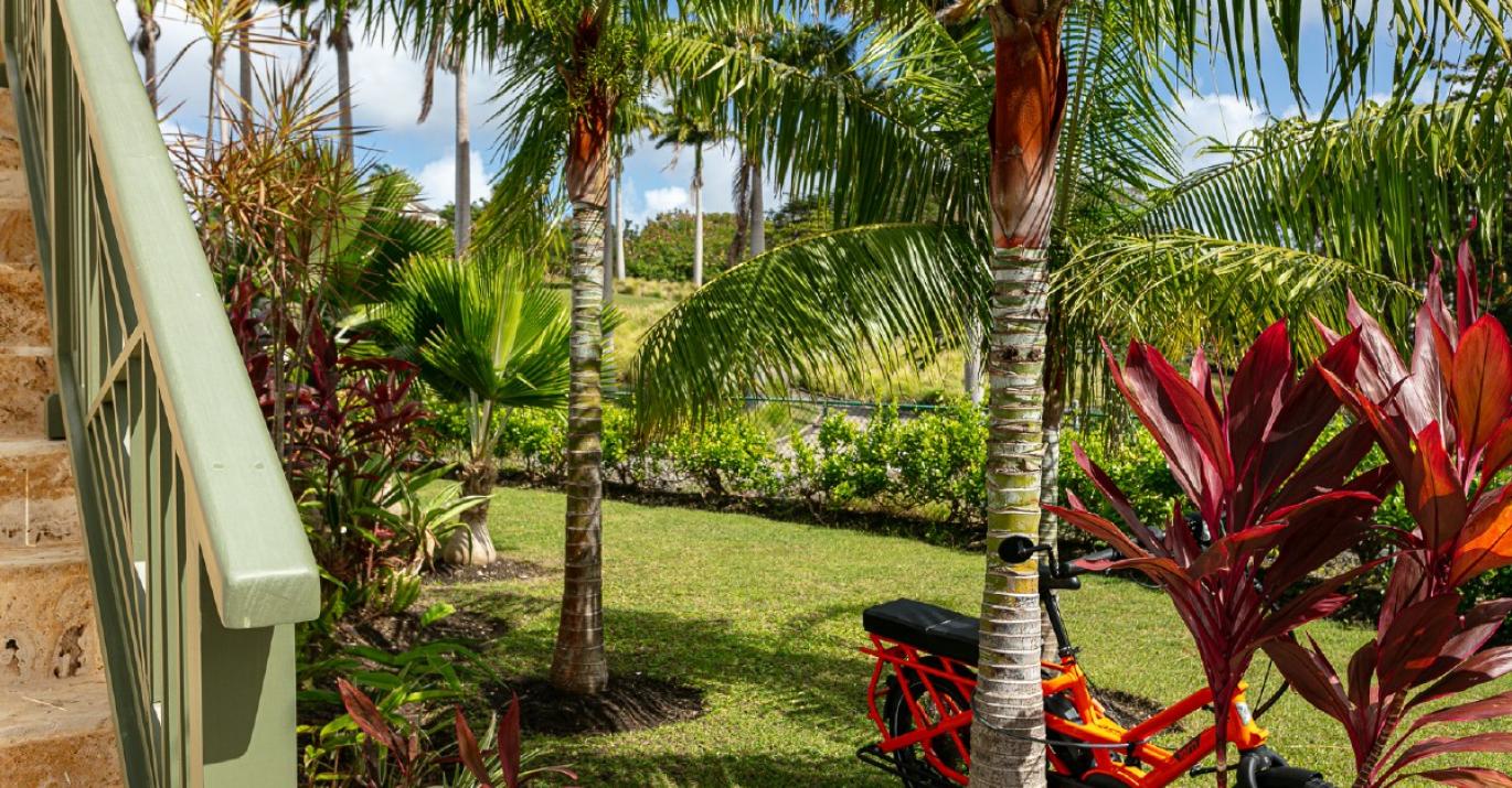 sugarcane ridge 16 garden